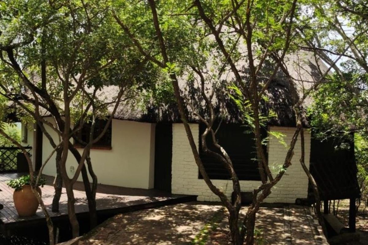 Distinctive Thatch-Home Offering Space - Photo 2