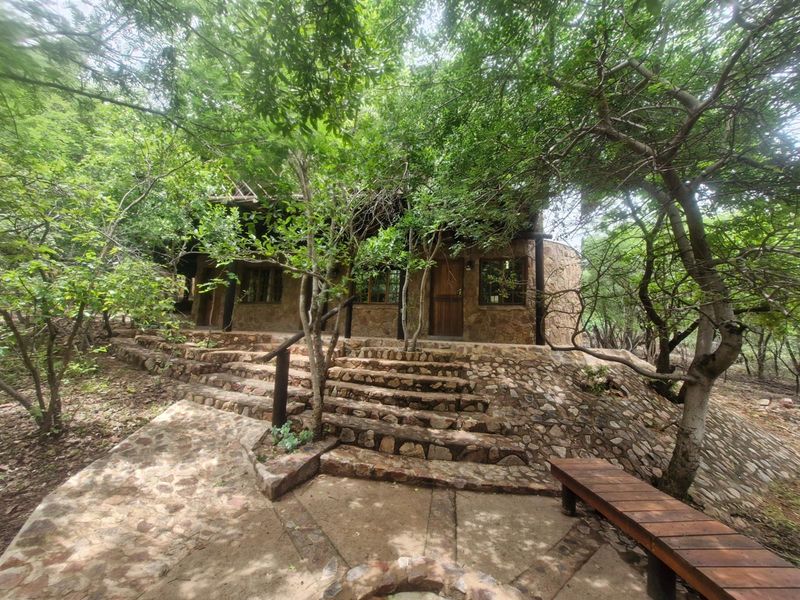 Distinctive Thatch-Home Offering Space - Photo 8