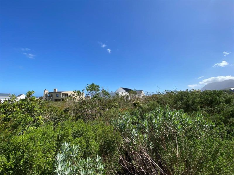 Mountain Majesty Meets Coastal Calm - Betty’s Bay Vacant Stand - Photo 10