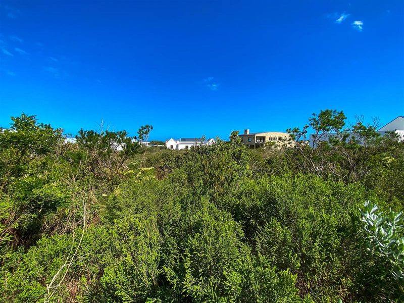 Mountain Majesty Meets Coastal Calm - Betty’s Bay Vacant Stand - Photo 9