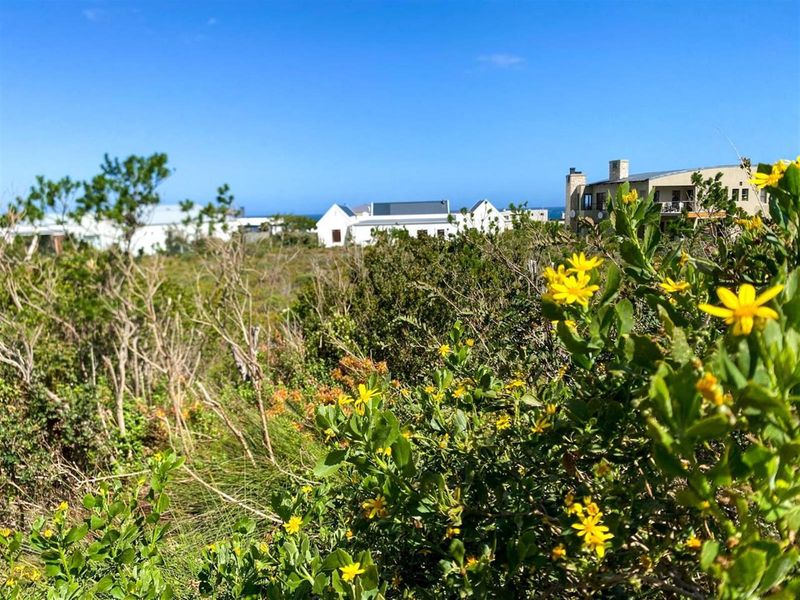 Mountain Majesty Meets Coastal Calm - Betty’s Bay Vacant Stand - Photo 7