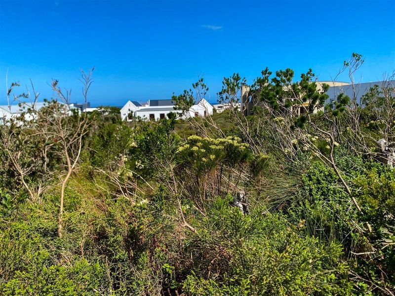 Mountain Majesty Meets Coastal Calm - Betty’s Bay Vacant Stand - Photo 4