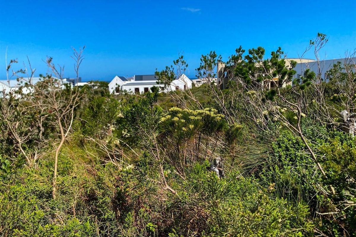 Mountain Majesty Meets Coastal Calm - Betty’s Bay Vacant Stand - Photo 4