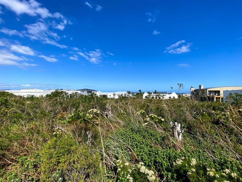 Mountain Majesty Meets Coastal Calm - Betty’s Bay Vacant Stand - Photo 3