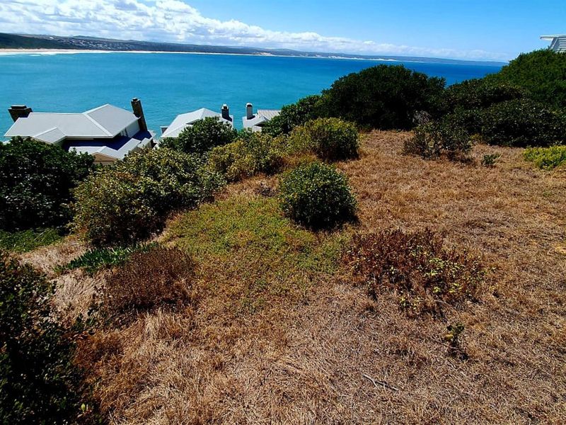 Your Piece of the Garden Route Coastline - Photo 7