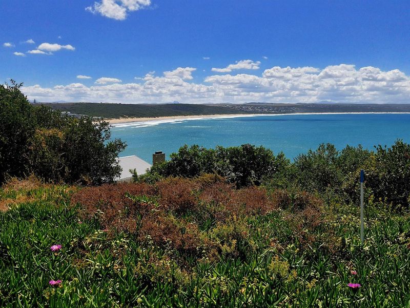 Your Piece of the Garden Route Coastline - Photo 4