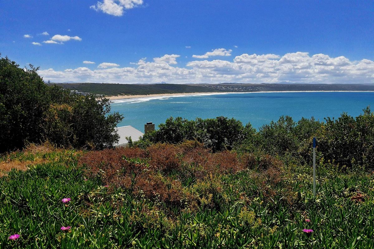 Your Piece of the Garden Route Coastline - Photo 4