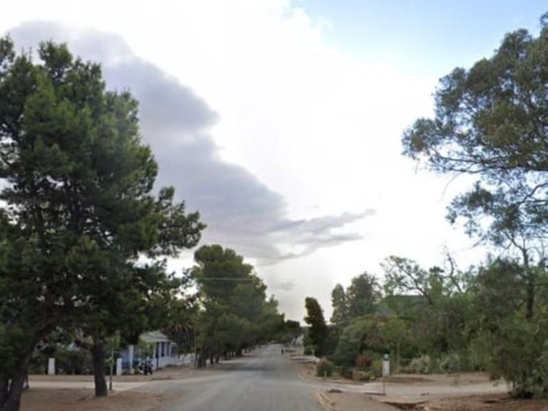 A street view showing the asphalt road and surrounding mature trees in a residential neighborhood.