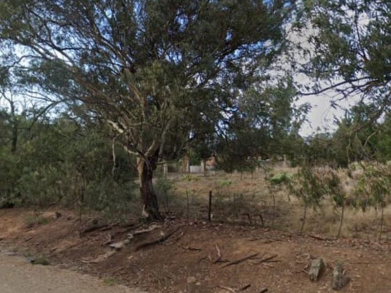 A street-level view of a vacant residential plot featuring mature trees and existing wire boundary fencing.