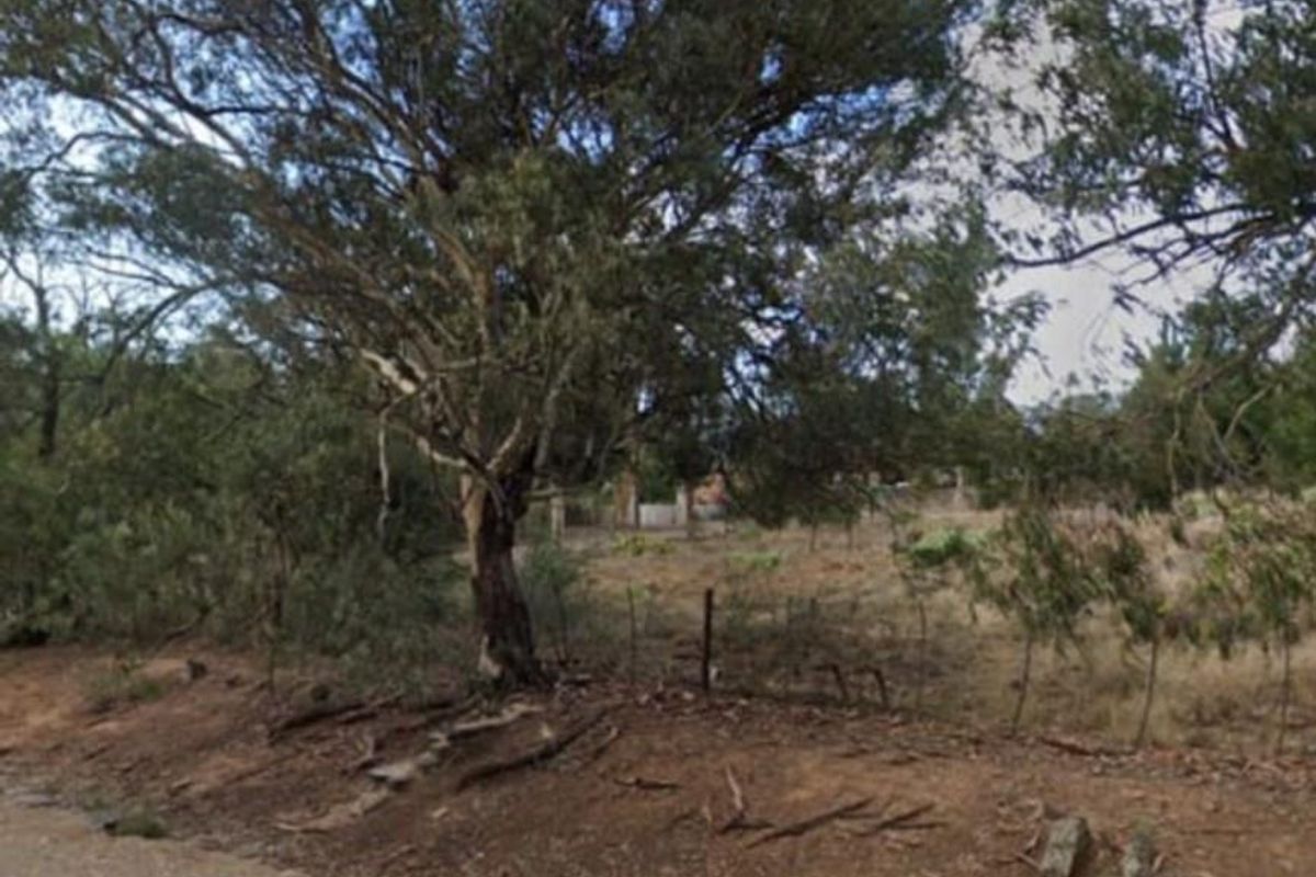 A street-level view of a vacant residential plot featuring mature trees and existing wire boundary fencing.