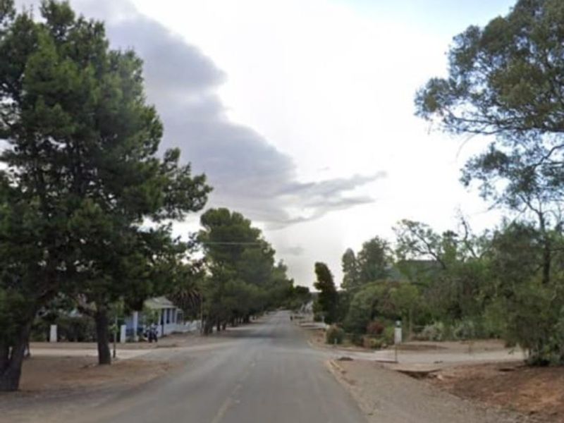 A street view perspective of Wehmeyer Street, showing the paved road surface and surrounding mature trees in a residential neighborhood setting.