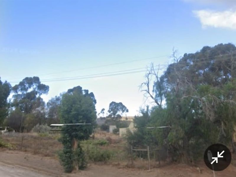 A street-level view of a vacant residential plot featuring mature trees, perimeter fencing, and overhead utility lines.