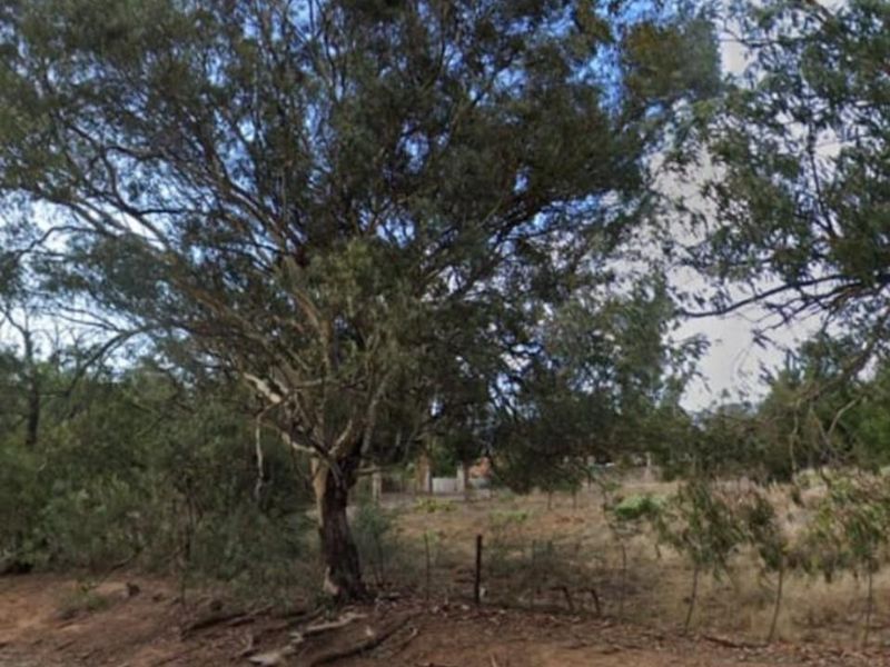 A street-level view of a vacant residential plot featuring mature trees and existing wire boundary fencing.