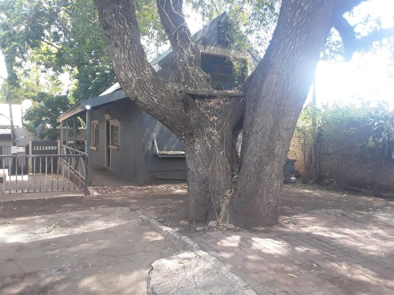 Versatile Commercial Property with Lodge, Offices and Retail Space on Main Road in Komatipoort - Photo 6