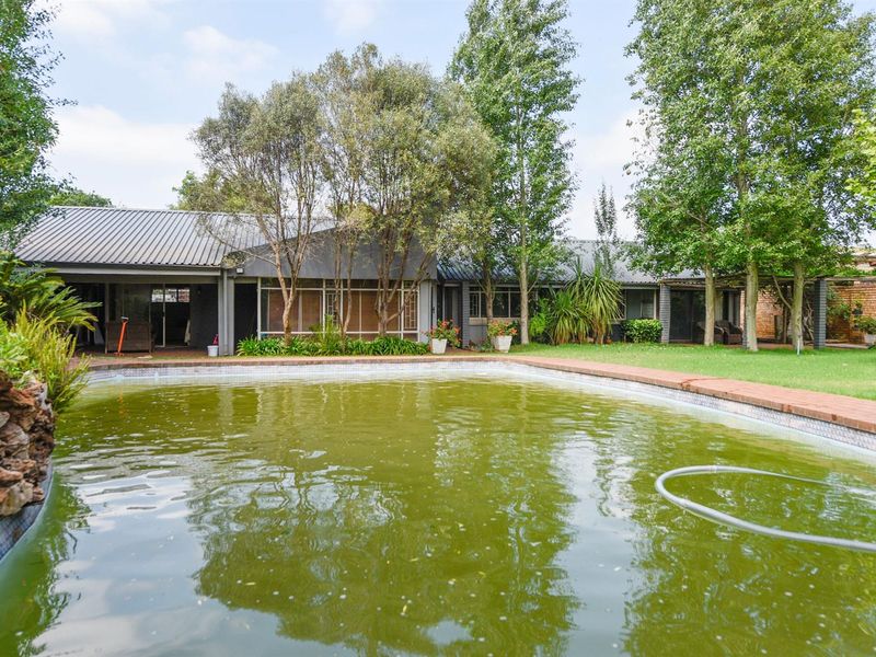 Rear view of the property featuring a swimming pool with significant water quality issues, a covered patio area, and established garden landscaping.