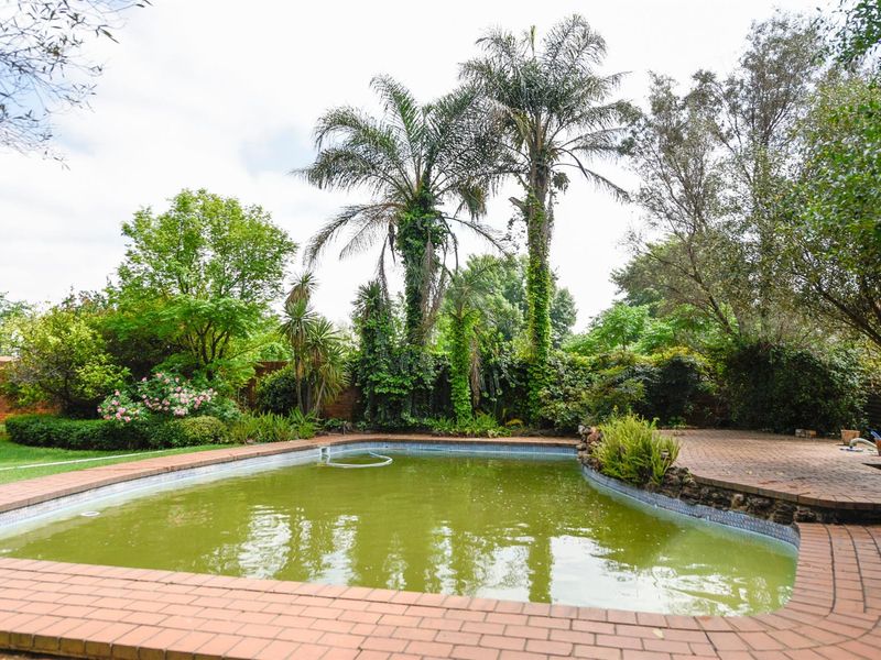Outdoor swimming pool area featuring brick paving and established garden surroundings, currently requiring maintenance to the pool water and landscaping.