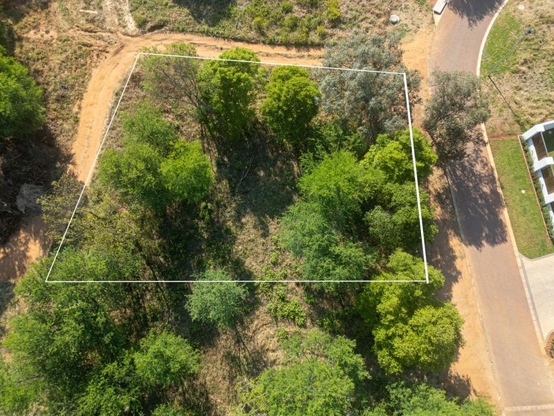 Largest Stand On The Market In Helderfontein Estate With House Plans - Photo 6