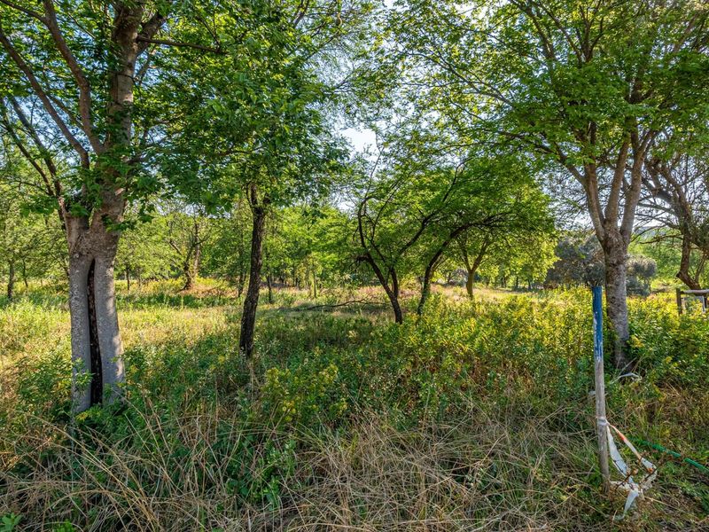 Largest Stand On The Market In Helderfontein Estate With House Plans - Photo 3