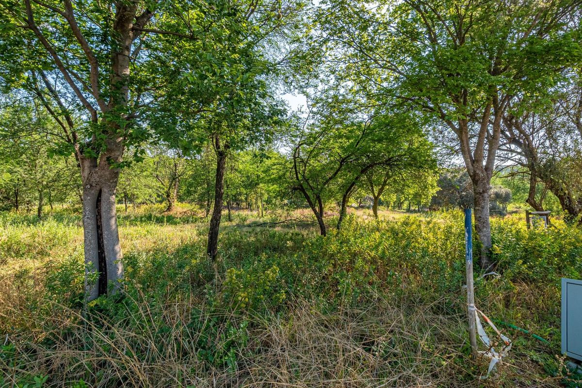 Largest Stand On The Market In Helderfontein Estate With House Plans - Photo 3