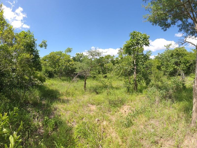 Vacant Land For Sale in Moditlo Nature Reserve, Hoedspruit - Photo 10