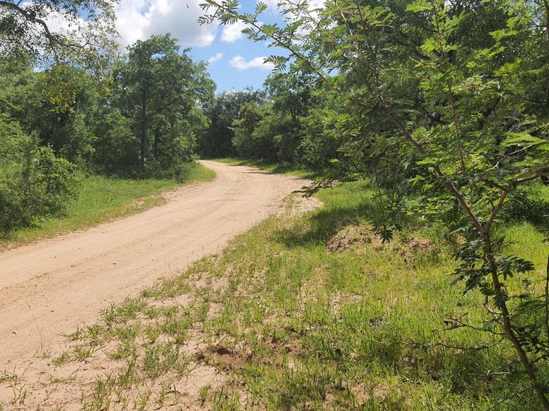 Vacant Land For Sale in Moditlo Nature Reserve, Hoedspruit - Photo 4