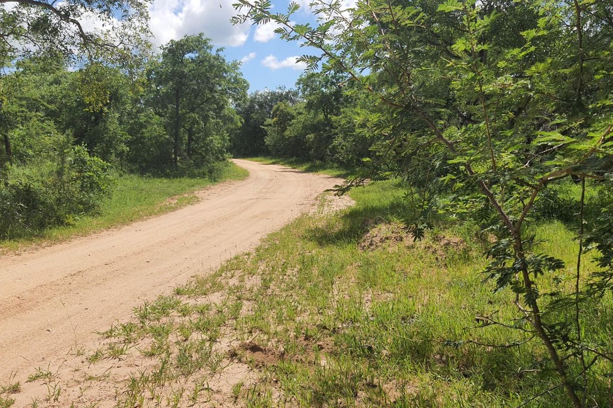 Vacant Land For Sale in Moditlo Nature Reserve, Hoedspruit - Photo 4