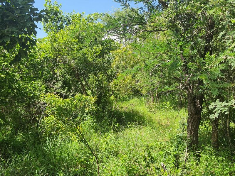 Vacant Land For Sale in Moditlo Nature Reserve, Hoedspruit - Photo 6