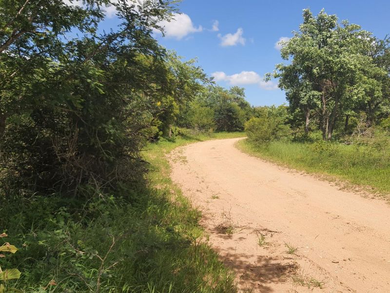 Vacant Land For Sale in Moditlo Nature Reserve, Hoedspruit - Photo 5