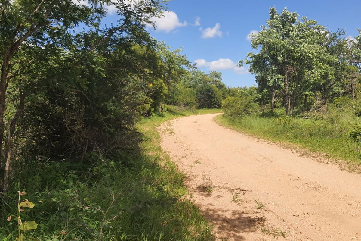 Vacant Land For Sale in Moditlo Nature Reserve, Hoedspruit - Photo 5