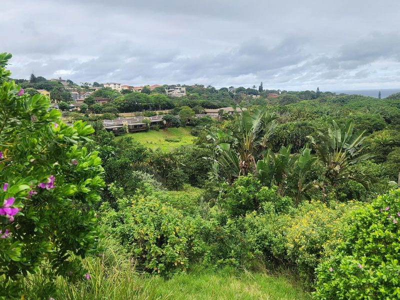 A scenic view overlooking a lush, green landscape with established vegetation and distant residential properties under a cloudy sky.