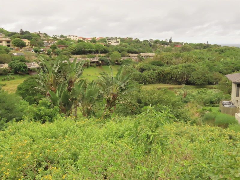 A scenic view overlooking a lush, green residential landscape with established vegetation and surrounding hillside homes.