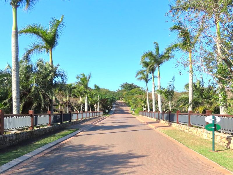A paved access road lined with mature palm trees and decorative fencing, leading into the residential estate.