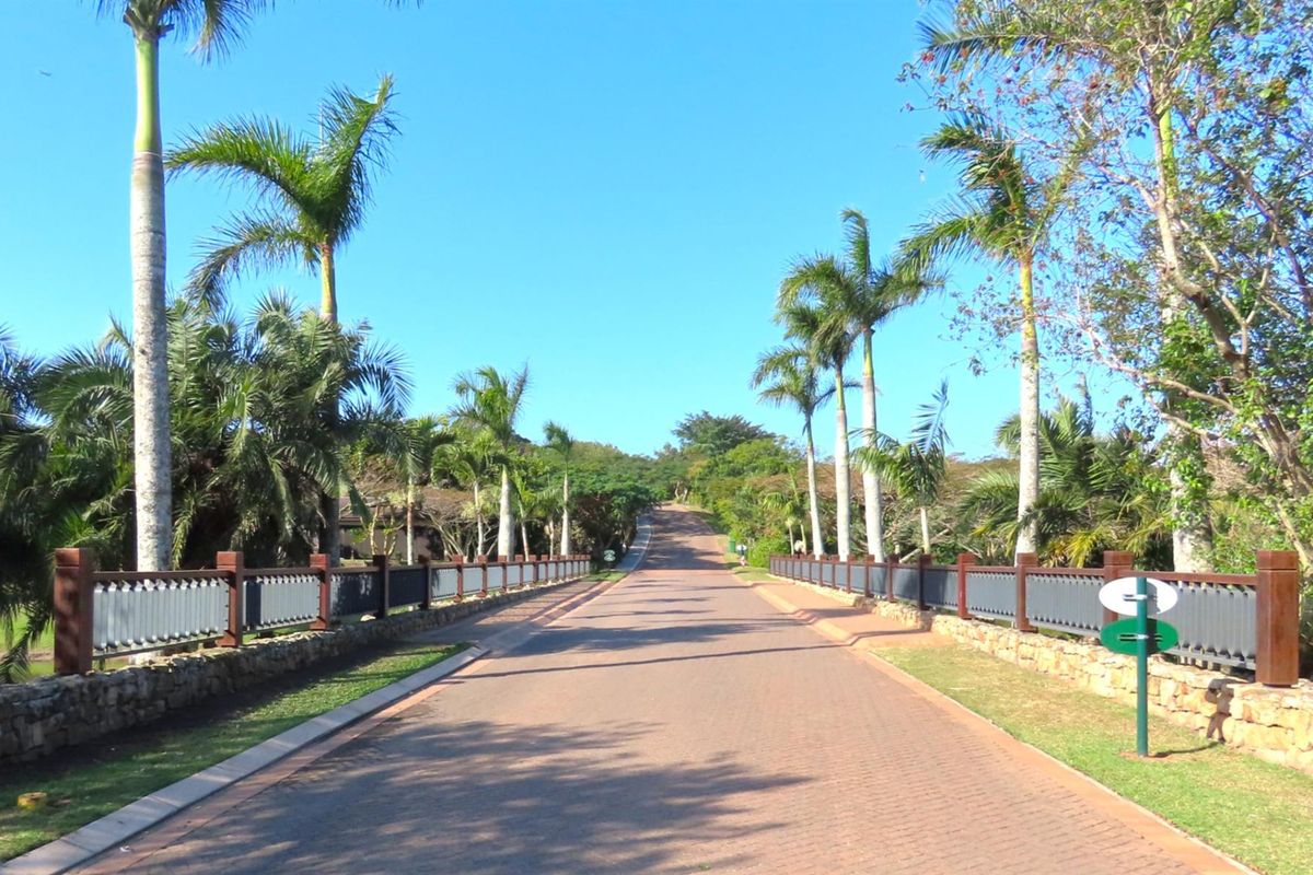 A paved access road lined with mature palm trees and decorative fencing, leading into the residential estate.