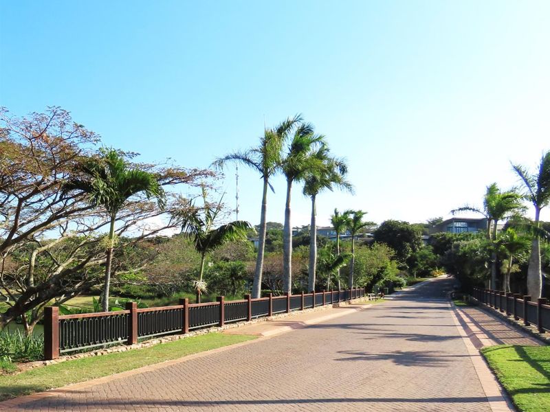 A well-maintained paved residential street lined with mature palm trees and decorative metal fencing, leading into a landscaped estate environment.