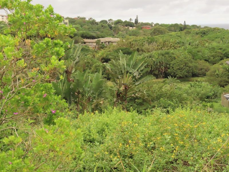 A scenic view overlooking a lush, green landscape with dense vegetation and distant residential properties.