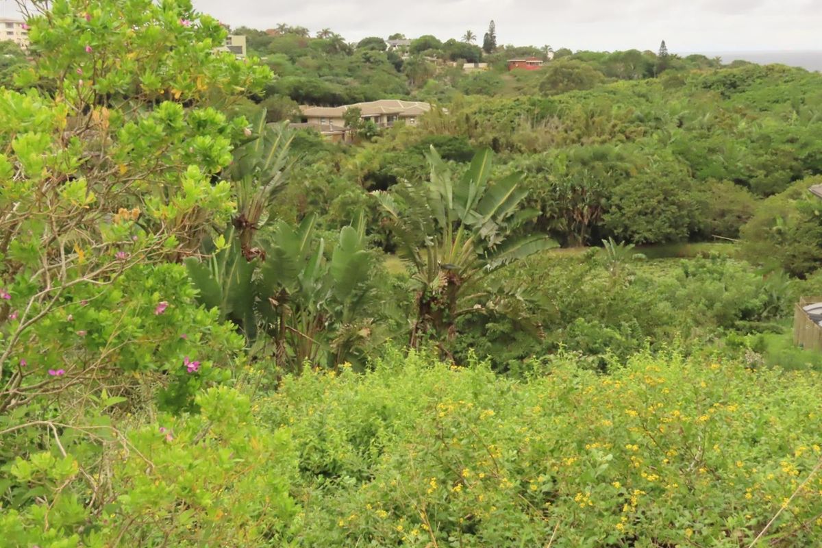 A scenic view overlooking a lush, green landscape with dense vegetation and distant residential properties.