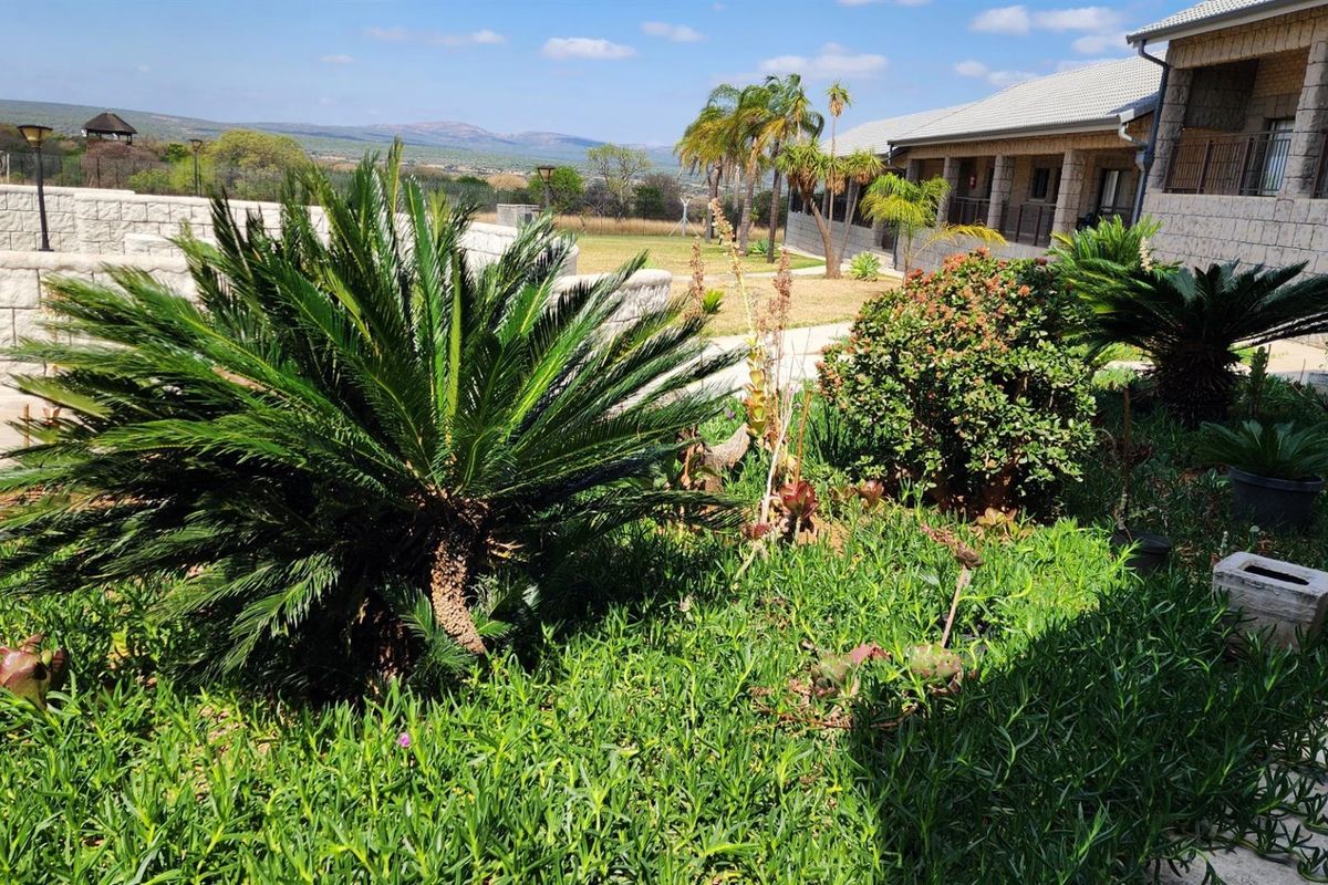 A well-maintained garden area featuring established cycads and shrubs, adjacent to the rear facade of the farm building with scenic landscape views.