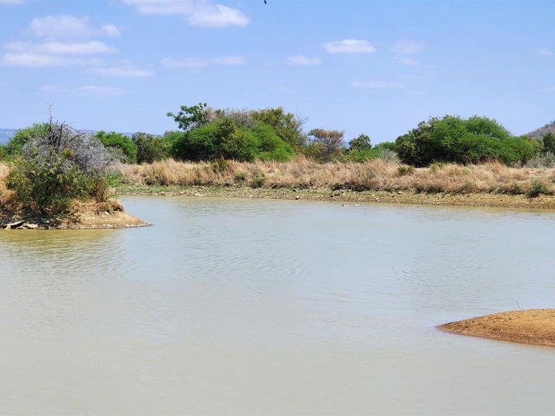 A natural farm dam featuring a small island and surrounding indigenous vegetation, providing a serene landscape view on the property.