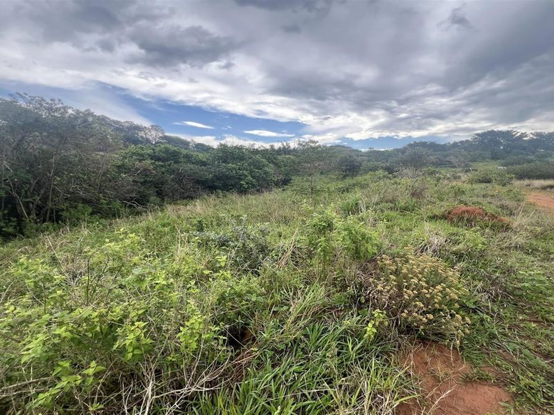 Vacant Land For Sale in New Salt Rock City, Ballito, KwaZulu Natal - Photo 5