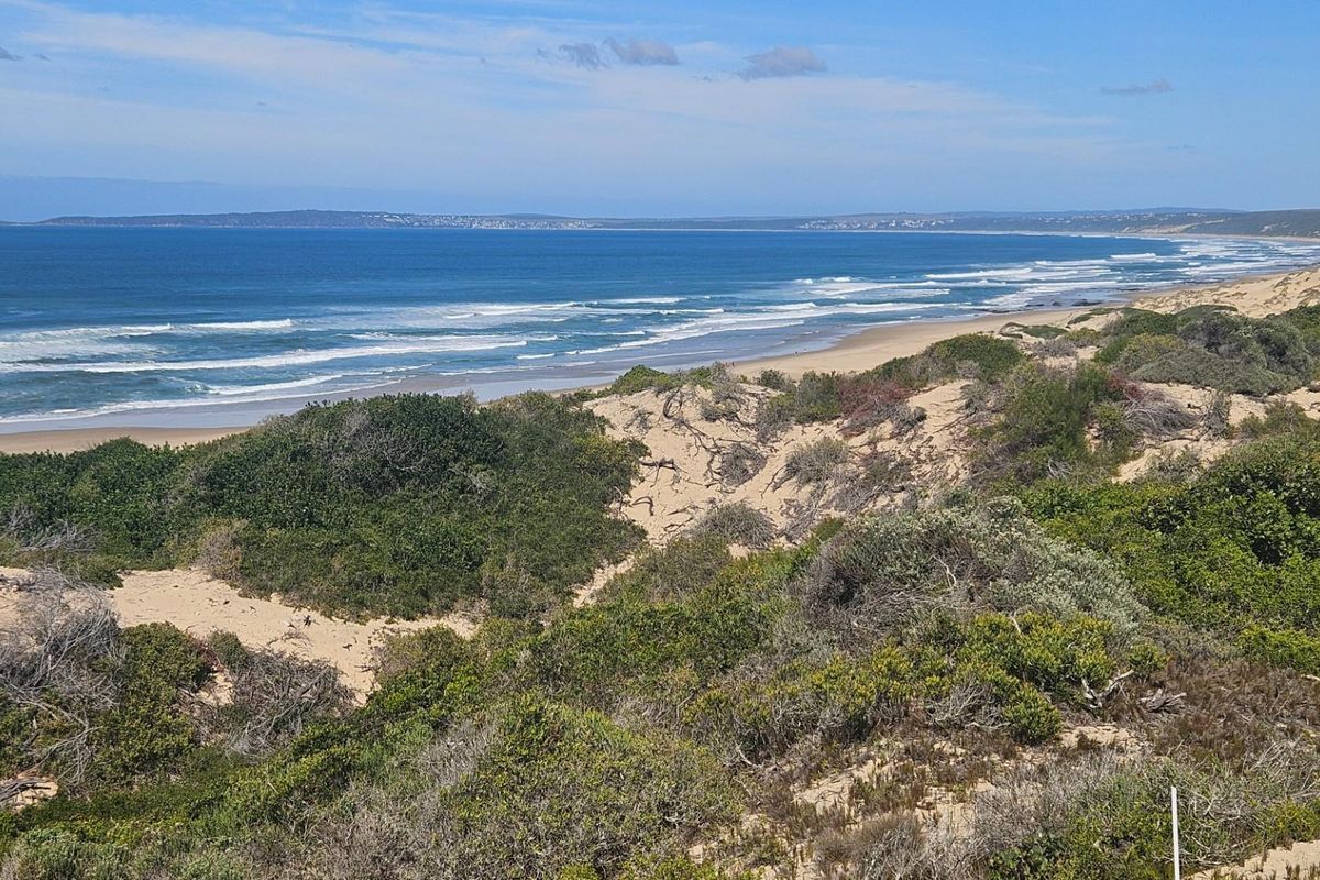 A scenic view of the coastline featuring natural sand dunes, native vegetation, and an expansive ocean beach.