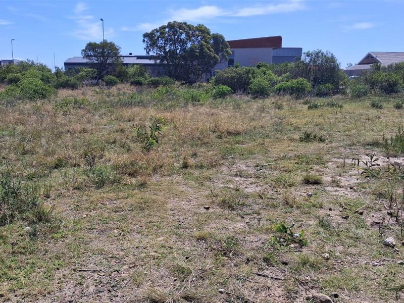 Vacant Stand in Fountains Estate - Photo 3