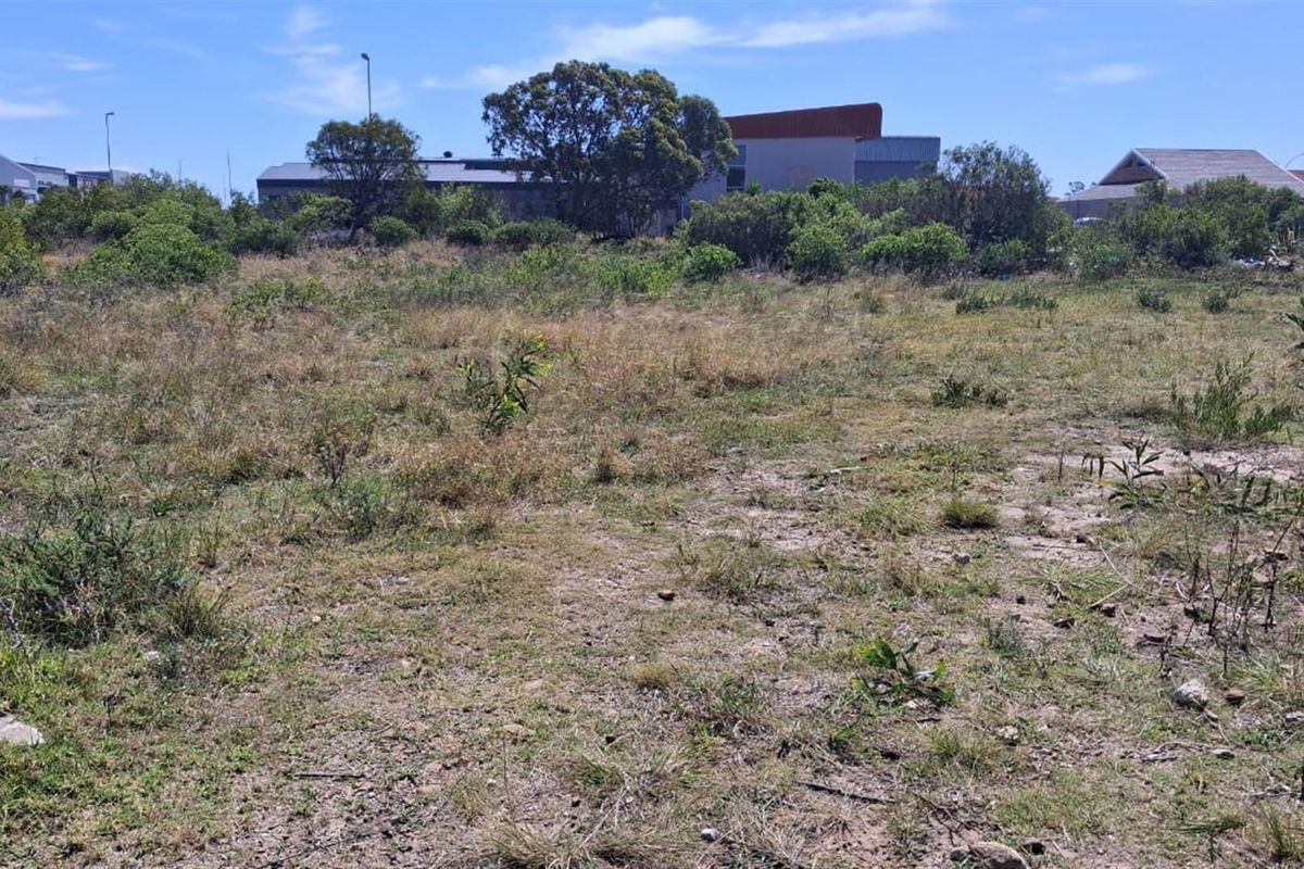 Vacant Stand in Fountains Estate - Photo 3