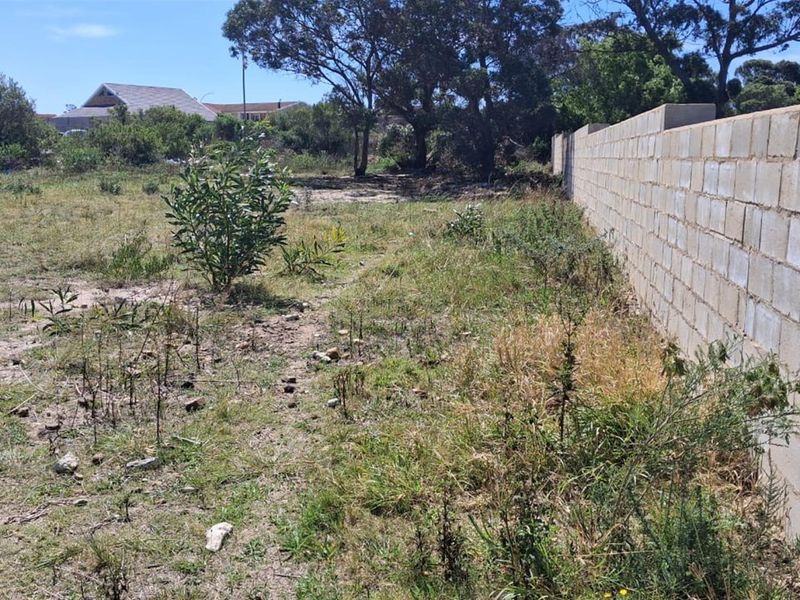Vacant Stand in Fountains Estate - Photo 2