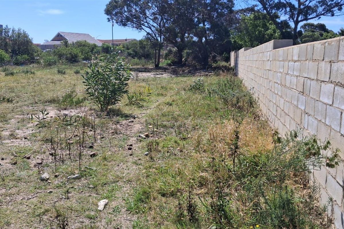 Vacant Stand in Fountains Estate - Photo 2