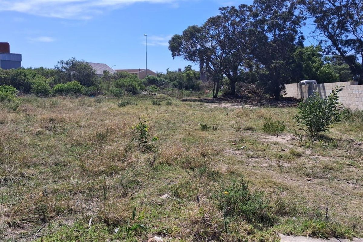 Vacant Stand in Fountains Estate - Photo 4