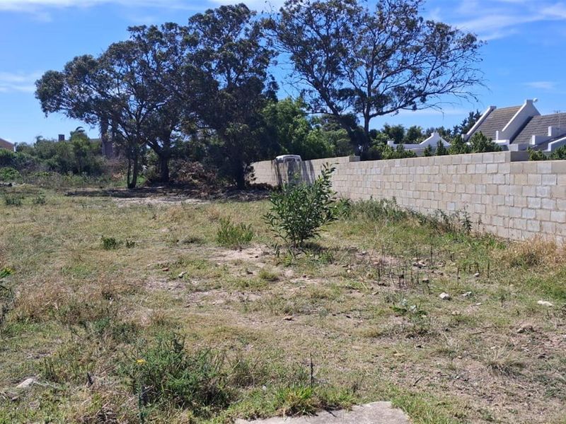 Vacant Stand in Fountains Estate - Photo 5