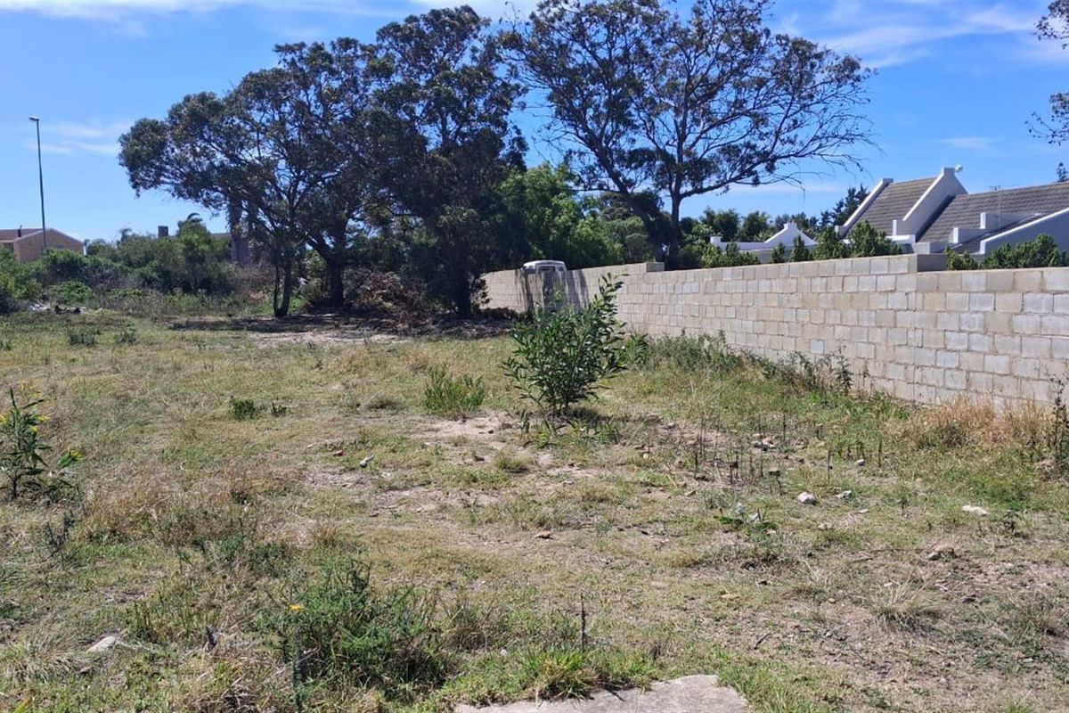 Vacant Stand in Fountains Estate - Photo 5