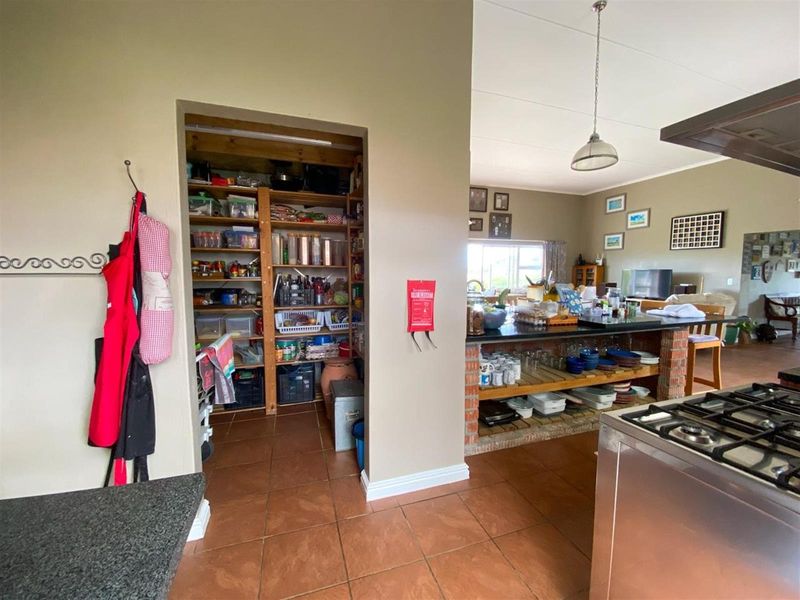 Spacious Family Home with Versatile Layout and Established Garden - Photo 7