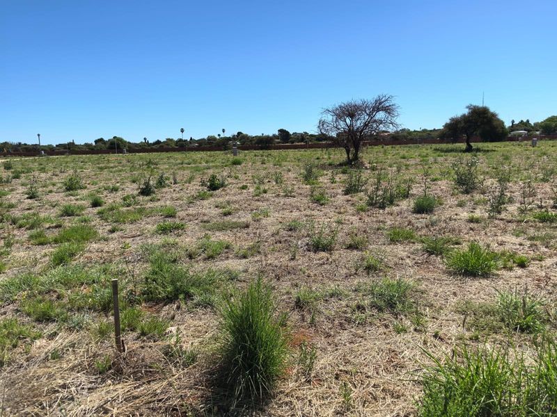 Vacant Land For Sale at Various Prizes! - Photo 6