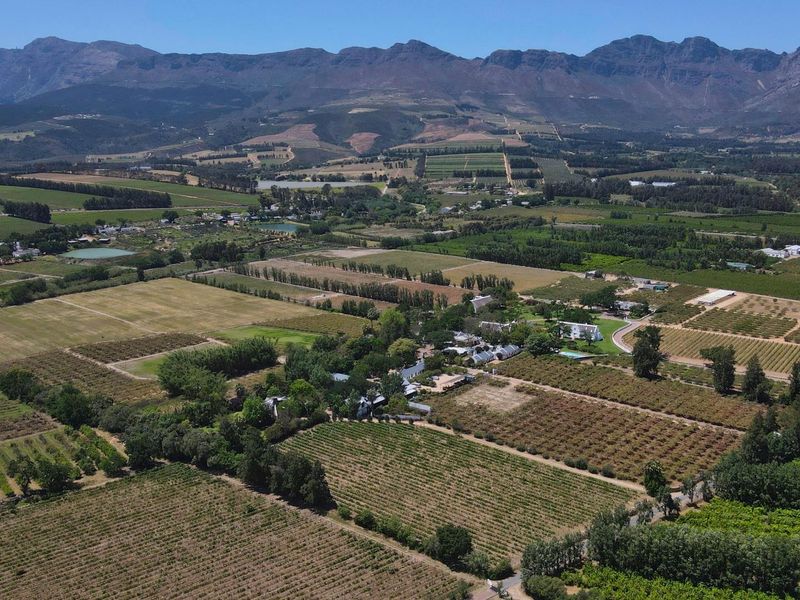 An expansive aerial view of the small holding property, showcasing extensive agricultural land, vineyards, and orchards set against a scenic mountain backdrop.